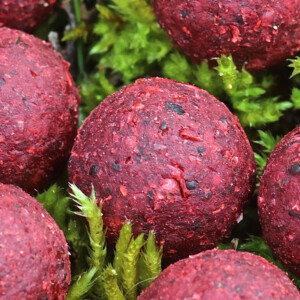 Baitworks - Carp Fishing