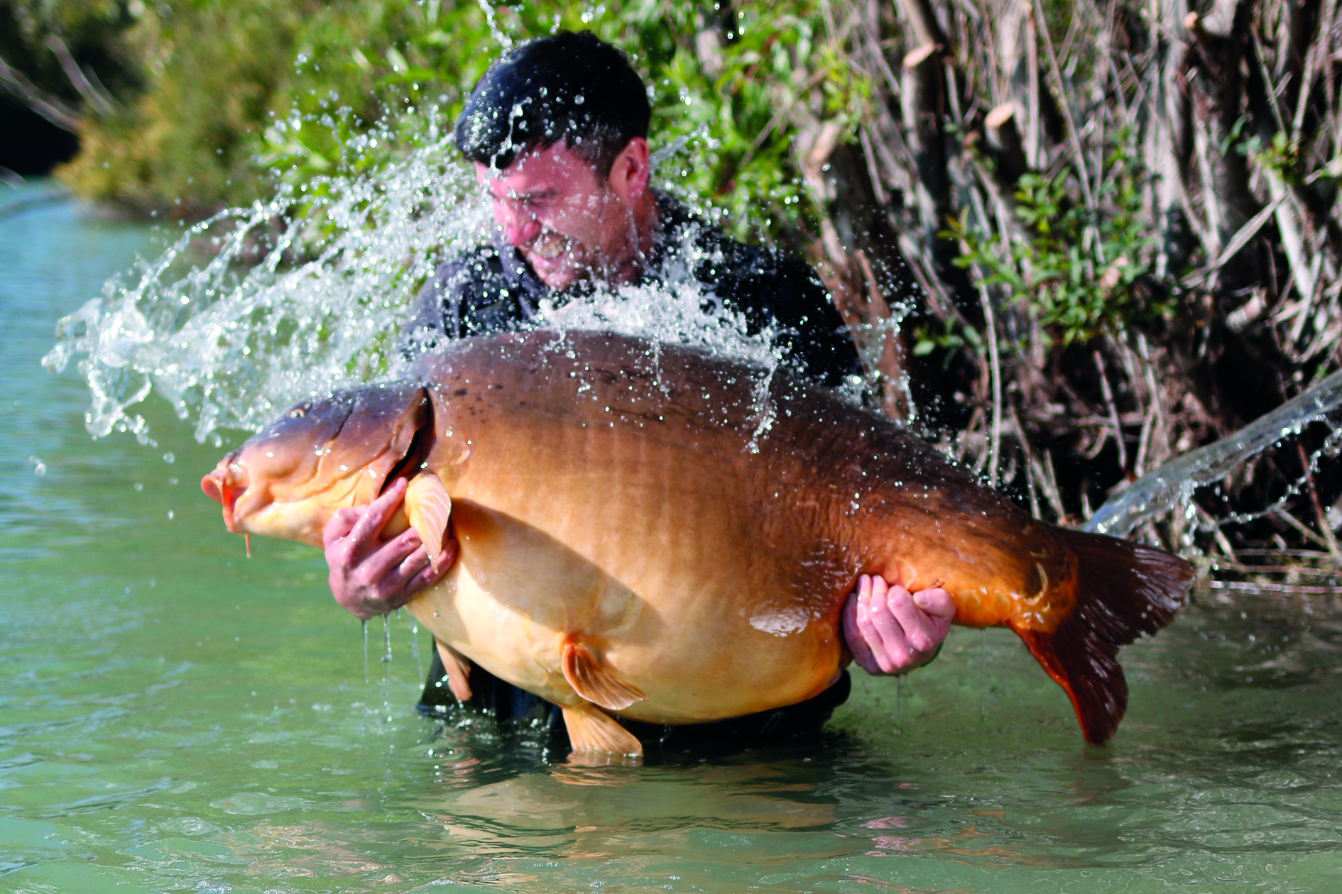 In session at Gigantica &#8211; Huge carp