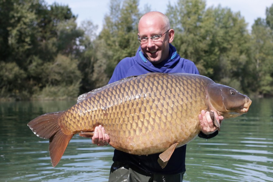 Giants fall at Gigantica