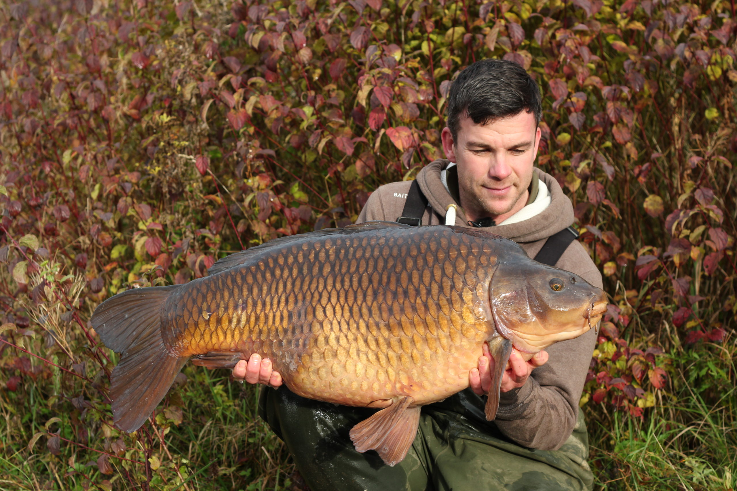 3 tips that will catch you carp this Autumn