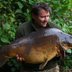 harrow carp
