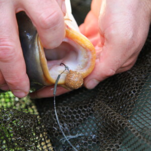 Baitworks - Carp Fishing, Carp Boilies & Carp Bait