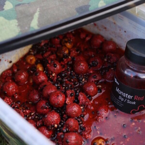 Baitworks - Carp Fishing, Carp Boilies & Carp Bait