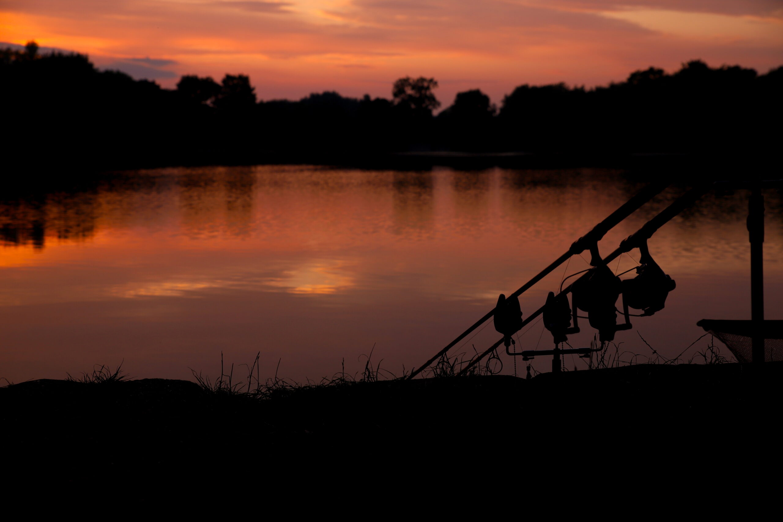 Consistency Catches Carp &#8211; Mike Holly