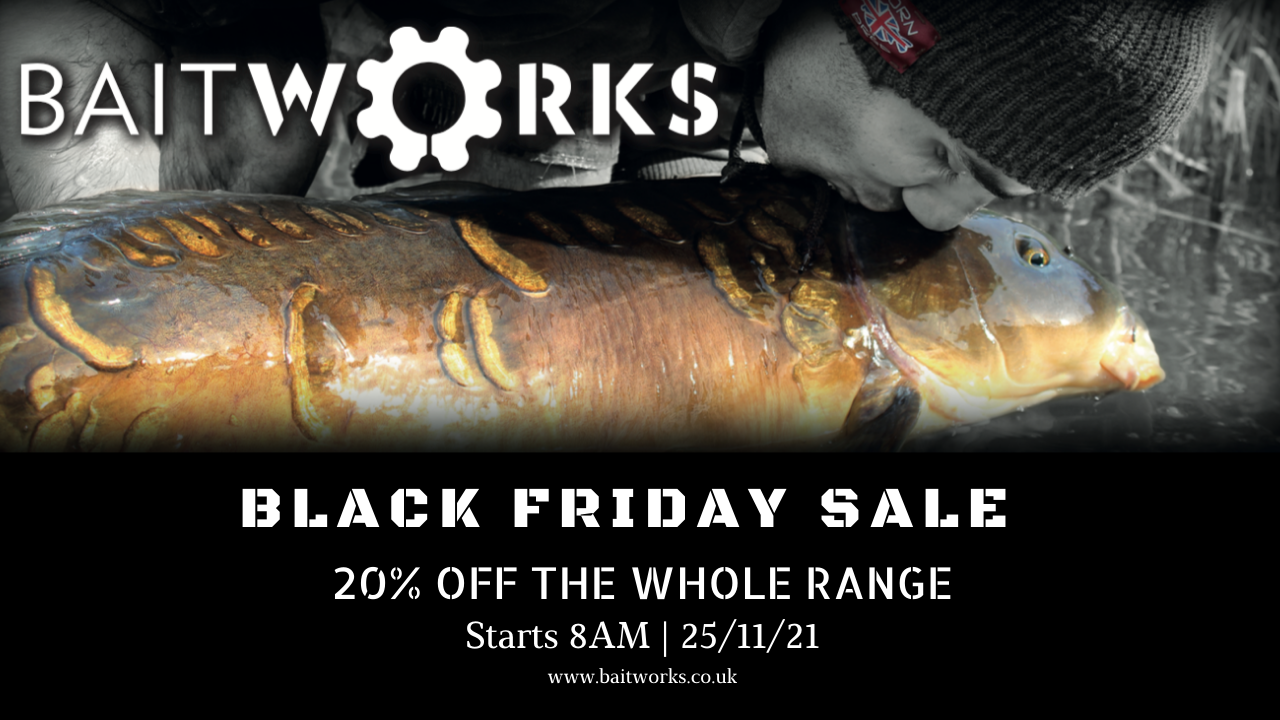 BLACK FRIDAY SALE &#8211; 20% OFF