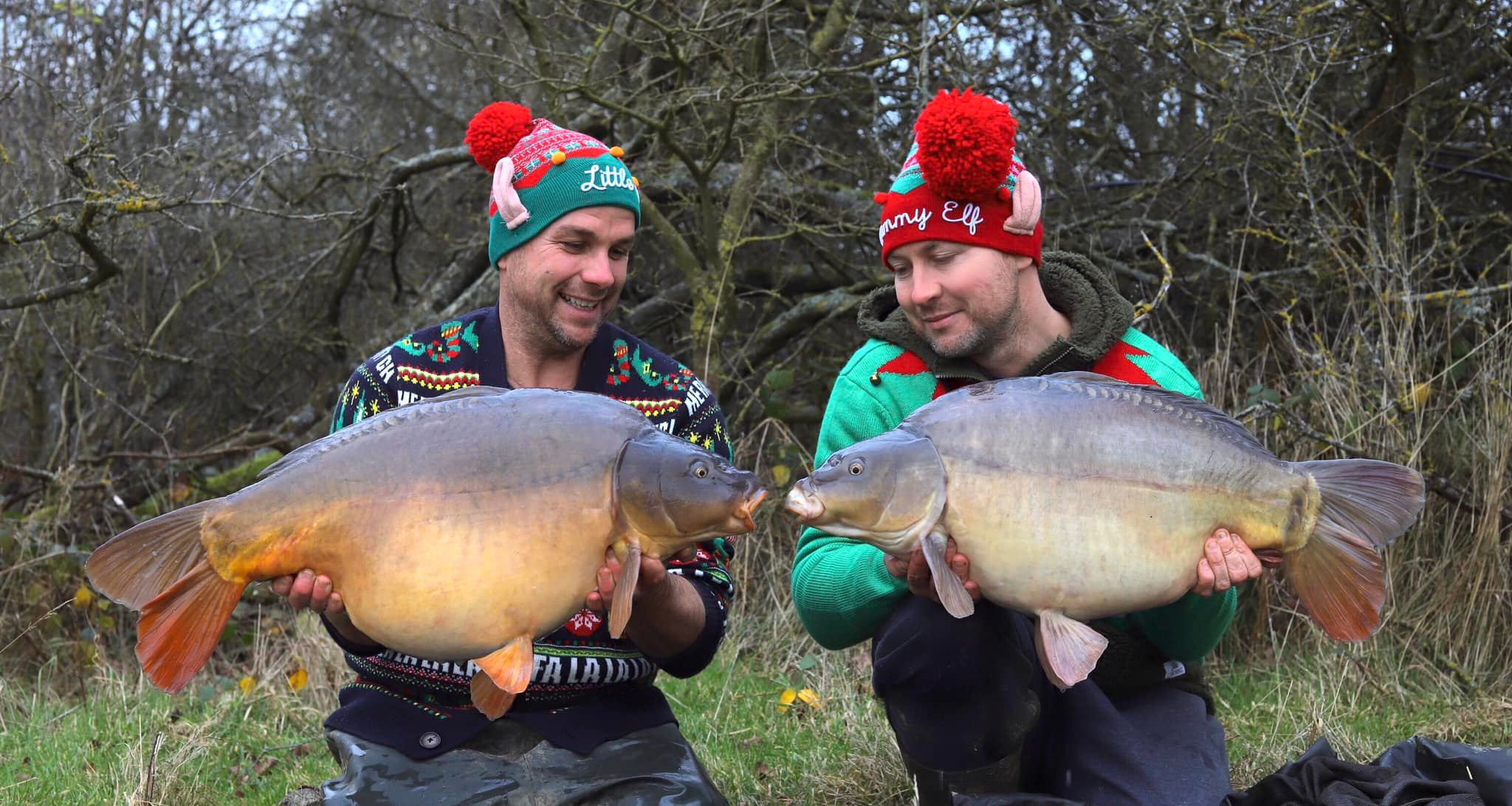 Festive round up