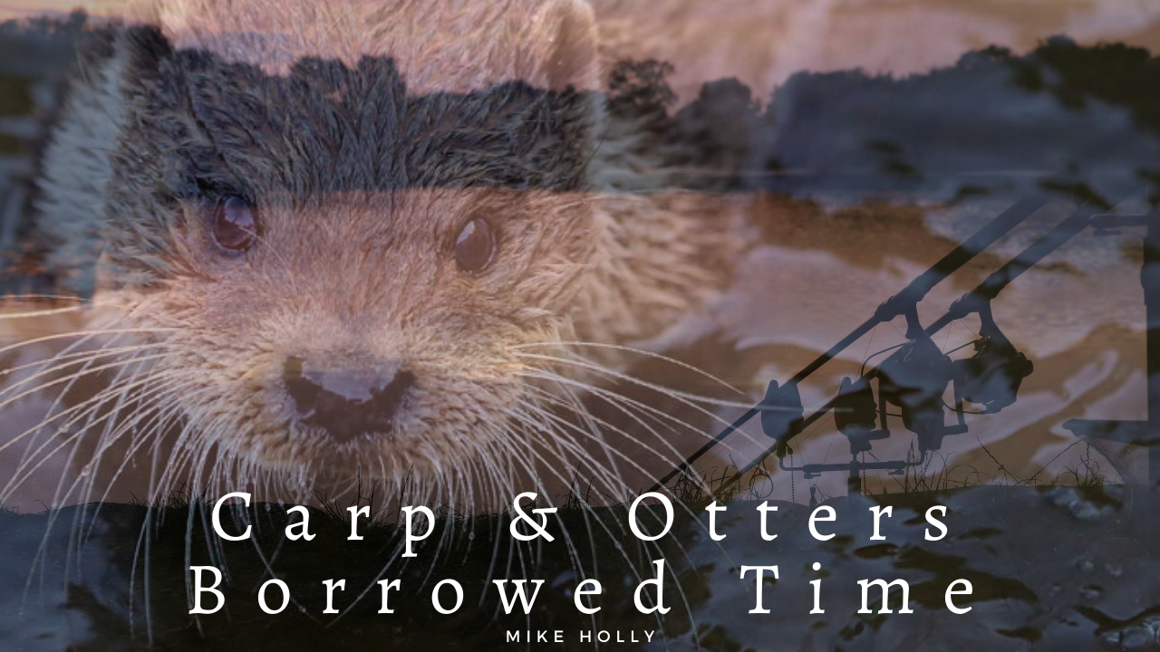 Carp &amp; Otters &#8211; Mike&#8217;s new Vlog LIVE
