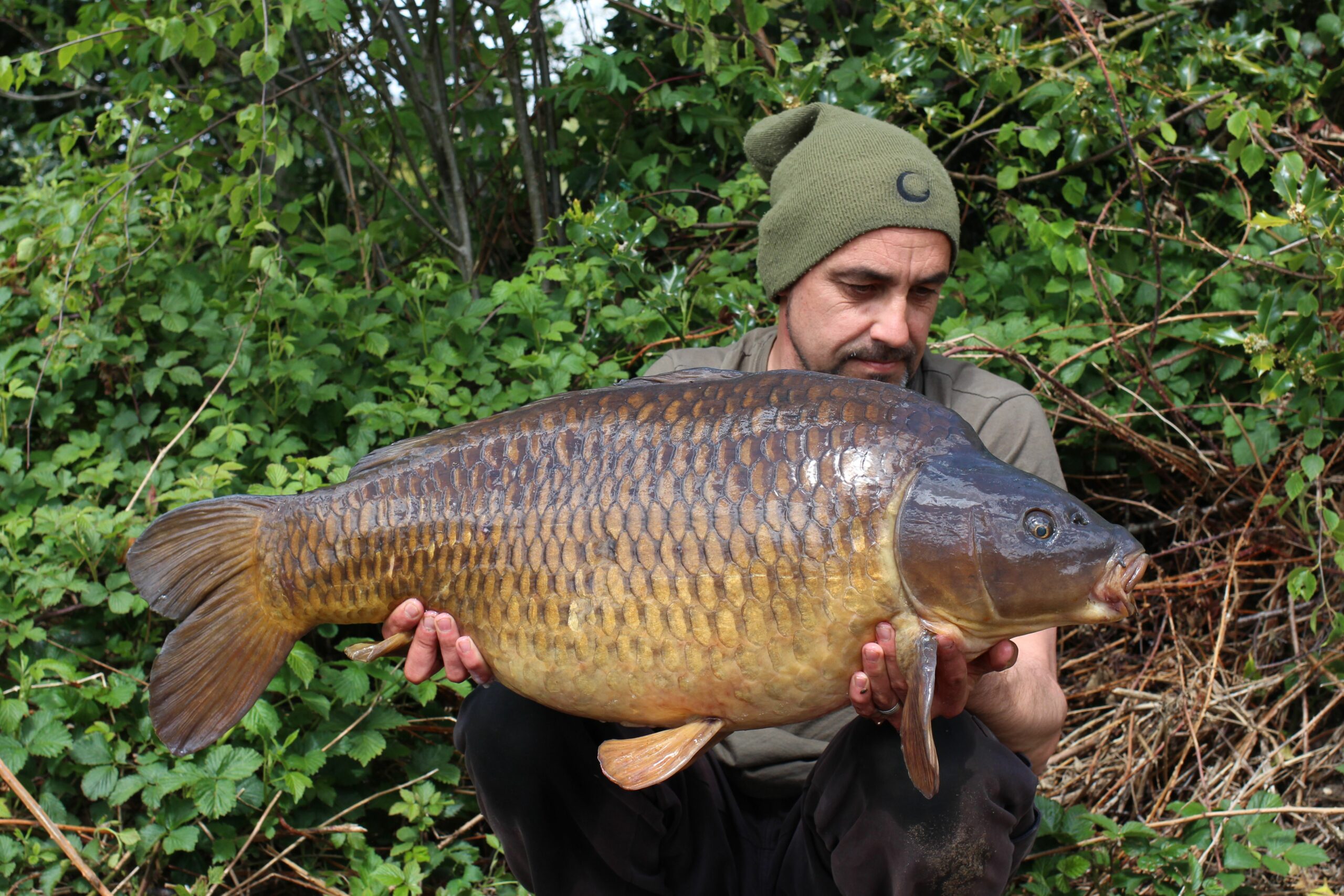 In Search of Antique Carp &#8211; Trevor Johnson