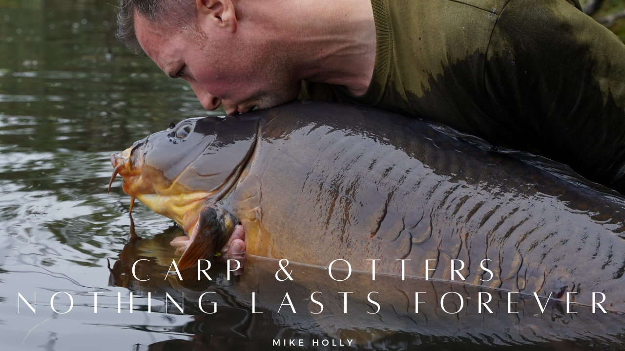 New Vlog LIVE &#8211; Otters &amp; Carp &#8211; Mike Holly
