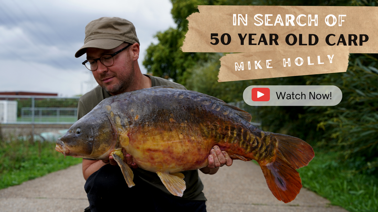 In Search of 50 Year Old Carp &#8211; Mike Holly