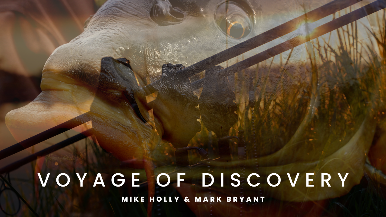 ***Voyage of Discovery***