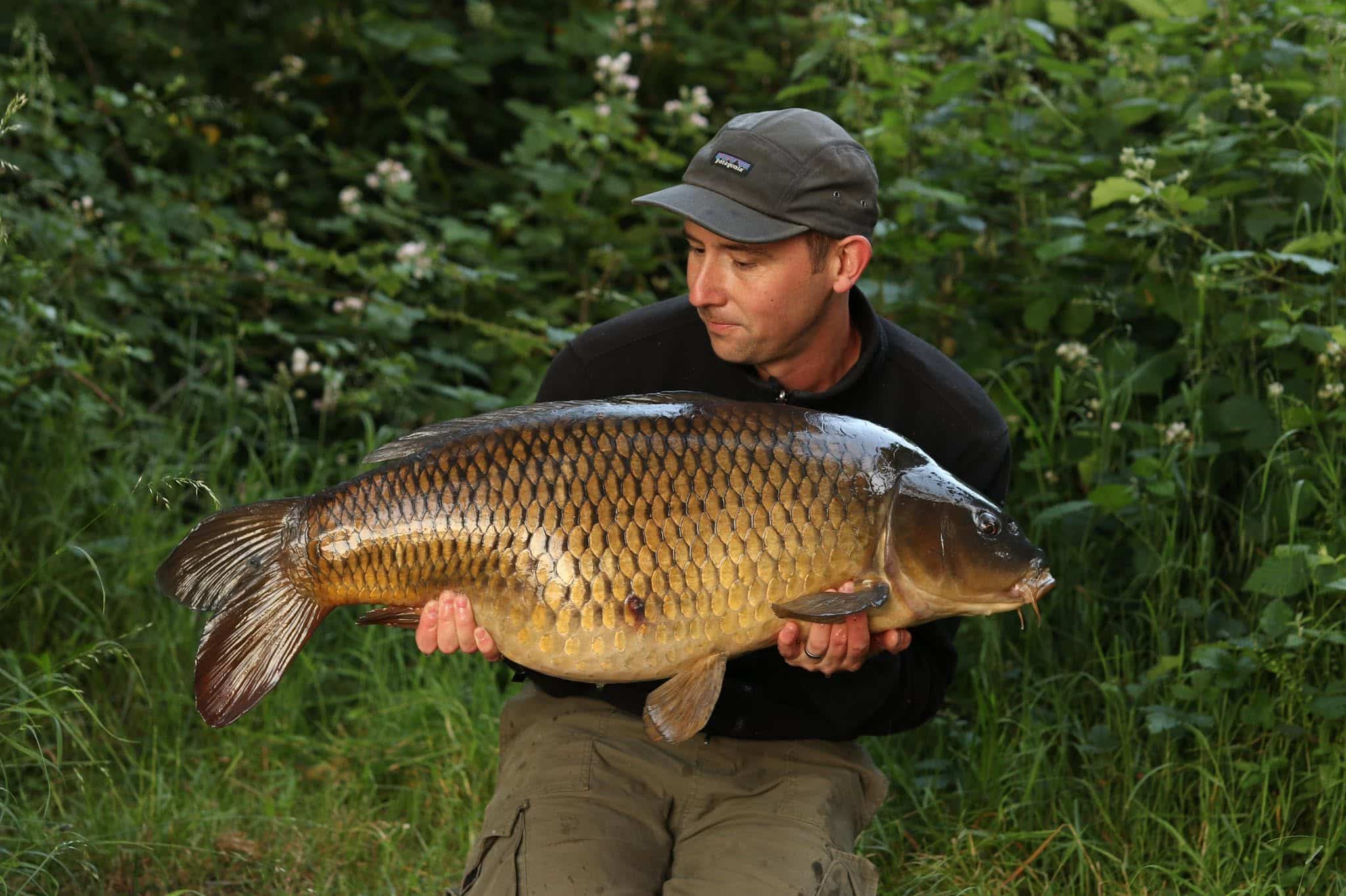 Podcast Drop – Terry Barrett – The Art of Stealth