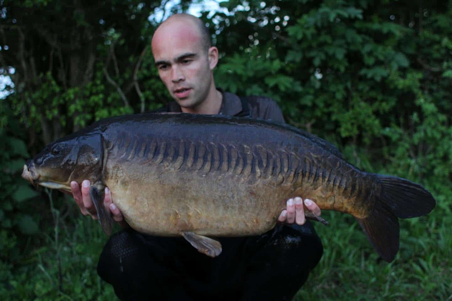 Podcast Drop – Tim Rowland – Chasing Dreams