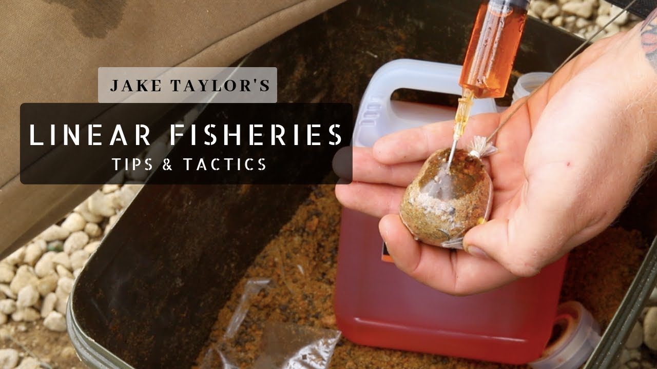 Carp Fishing Tips Tactics Jake Taylors Guide To Catching At Linear Fisheries