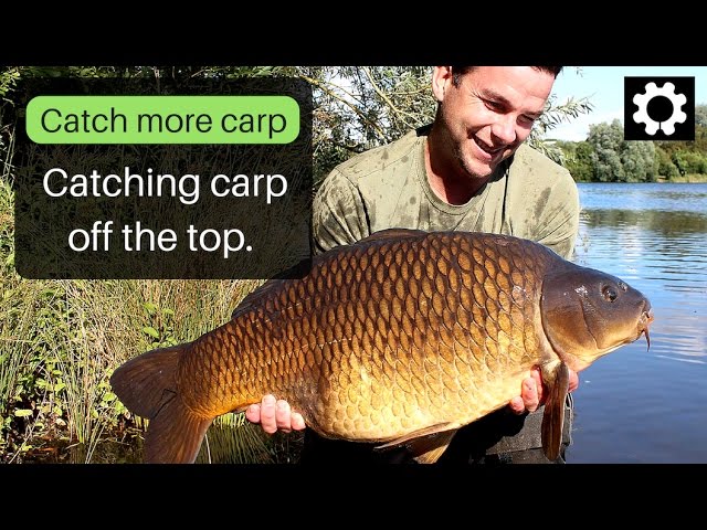 Rigs and Tips &#8211; Catching carp off the top