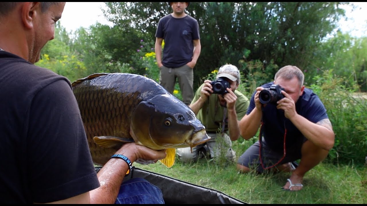 Wild Carp Fishing &#8211; Mike&#8217;s Blog