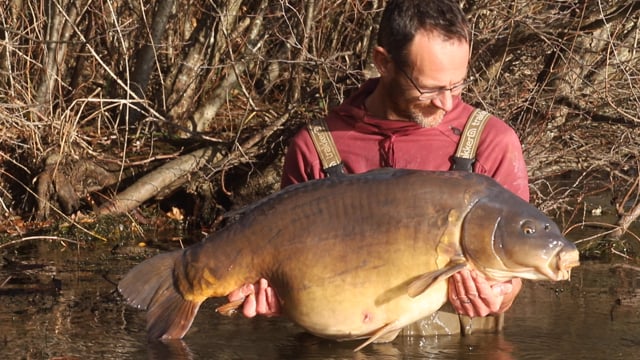 Monster Red boilies