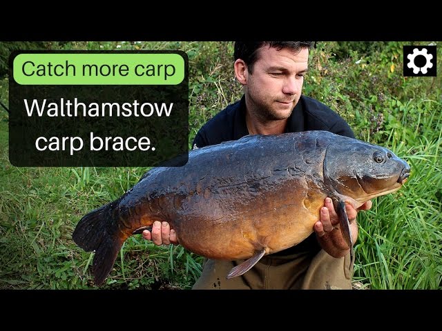 Carp fishing at Walthamstow. Carp captures on the Atlantic Heat