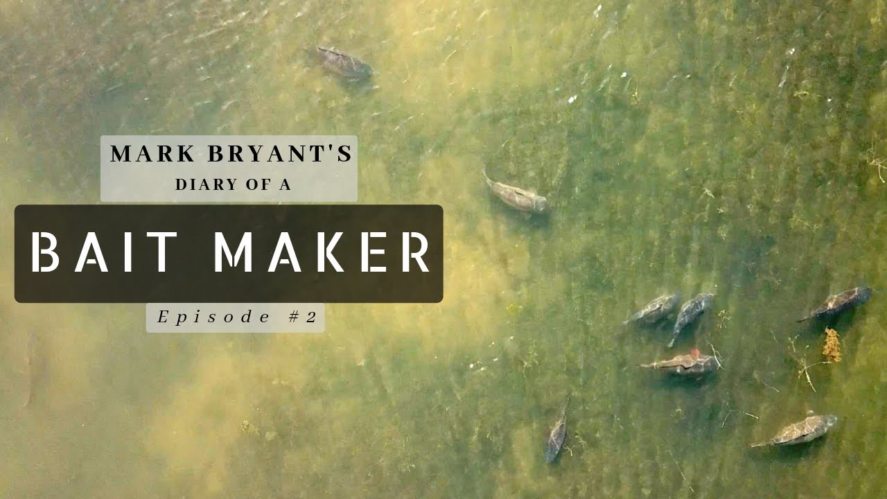 A Bait Makers Diary # 2